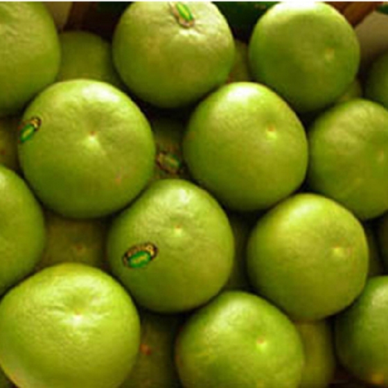 [tv商品]江西邓肯葡萄柚2斤装