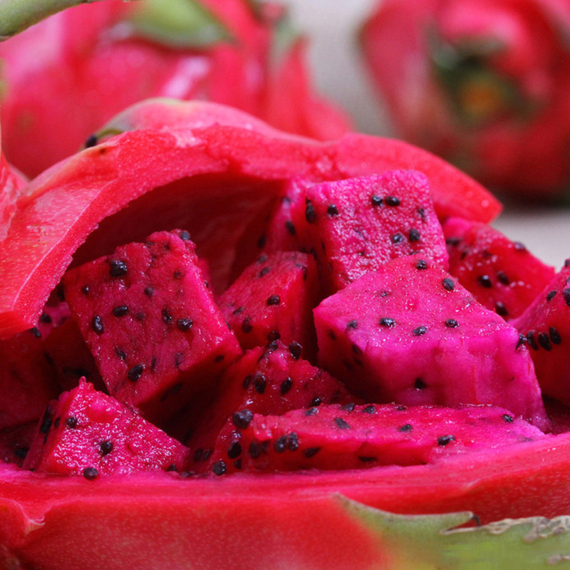 熊胖子 产地直采海南时令紫甜火龙果现采现发·5斤装·紫红