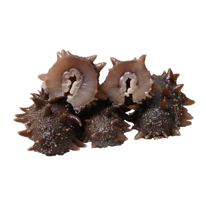 [tv商品]参灵岛 大连即食海参·2160g 约60头