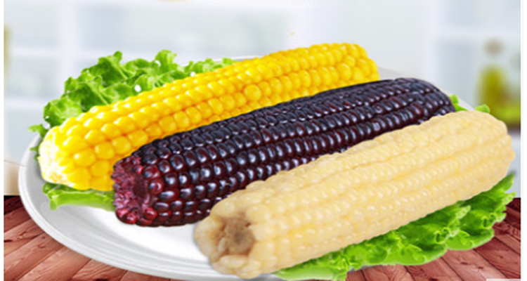 天景真空玉米组合装4黄2白4黑2花合计12根